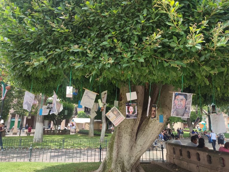 Denuncian que imágenes de desaparecidos fueron retiradas del denominado “Árbol de la Memoria”