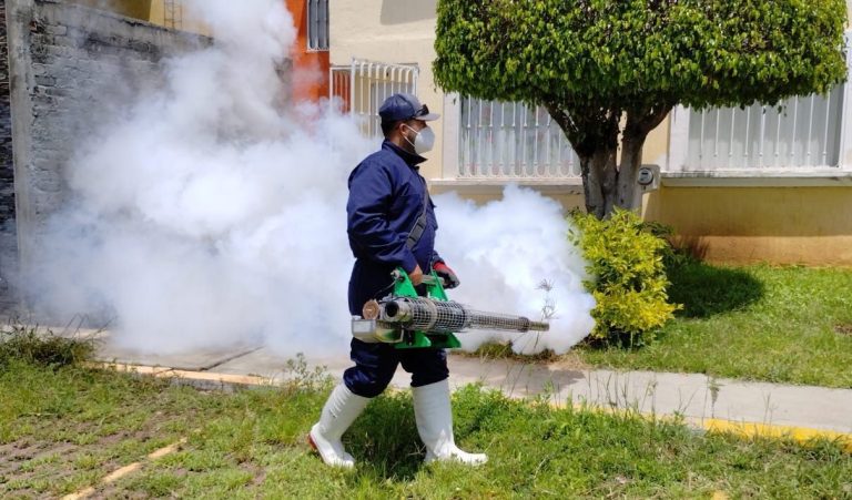 Gobierno de Morelia refuerza fumigaciones y llama a ciudadanía a sumarse en la prevención del dengue