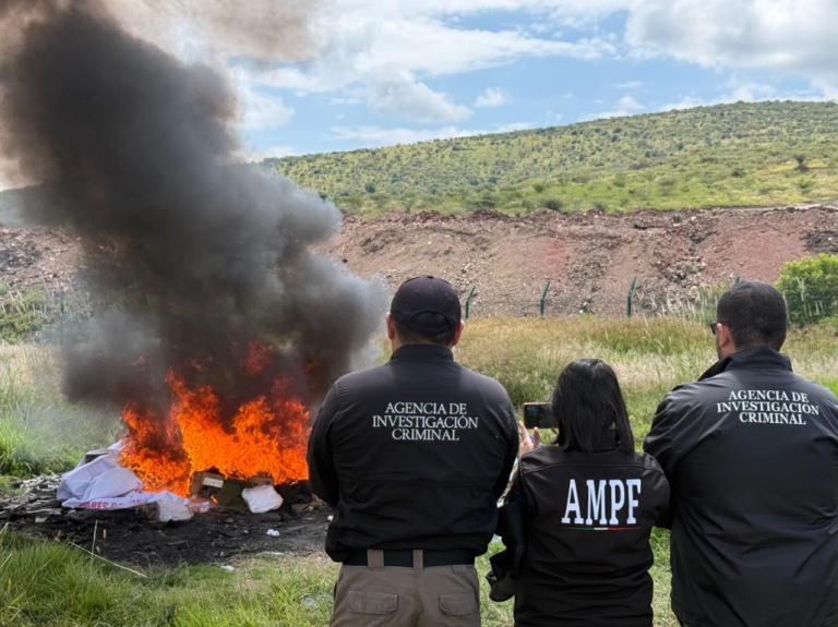 Incineran más de 100 kilos de droga y de seis mil psicotrópicos en Michoacán 