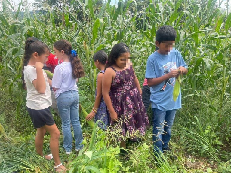 Cosechan autosuficiencia alimentaria en el municipio de La Huacana