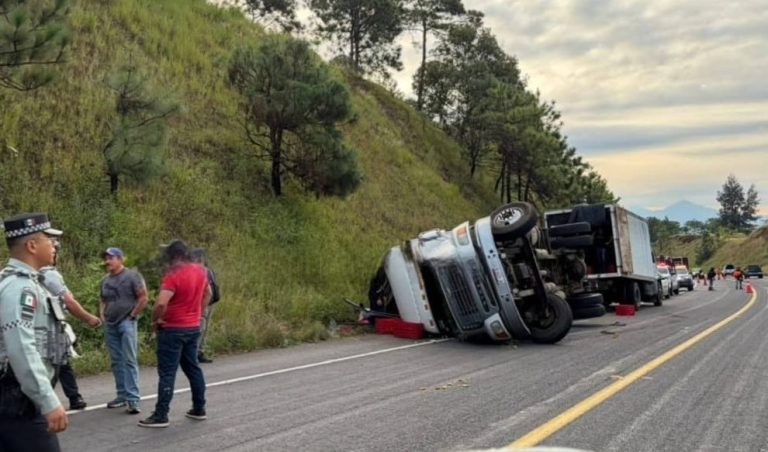 Vuelca camión aguacatero en la autopista Uruapan-Pátzcuaro; no hay víctimas