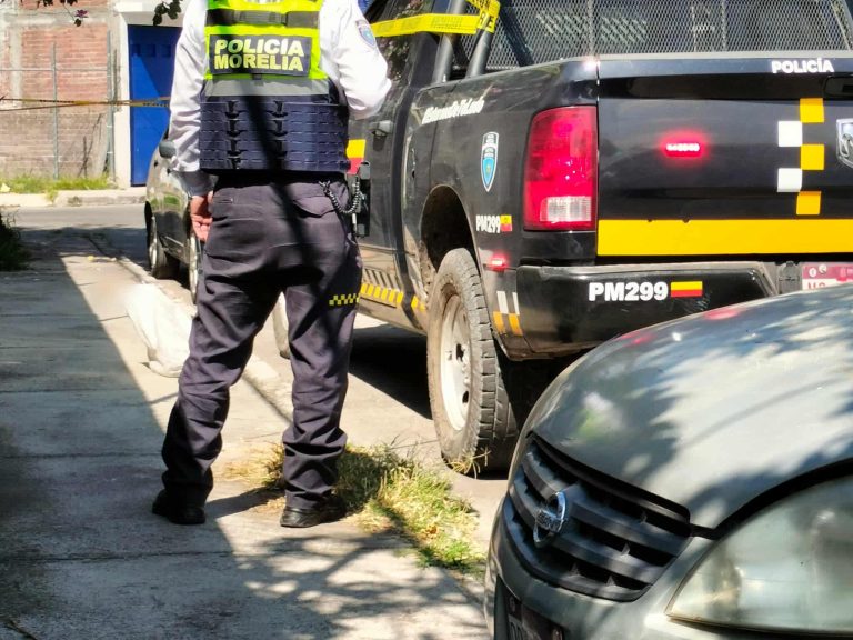 Matan a 5 chihuahuas y los dejan en la colonia Carlos Salazar, Morelia