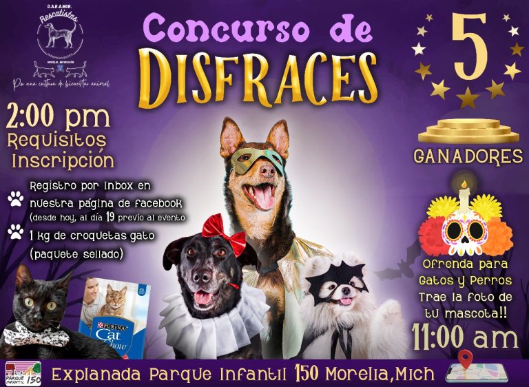 Morelia se llenará de huellitas fantasmales: Rescatistas Independientes convocan a concurso de disfraces canino