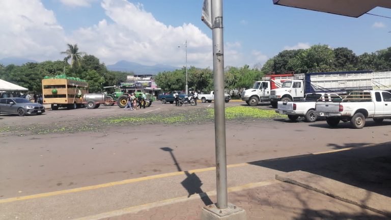 “Ahí ta pues, si lo quieren regalado, ahí está” productores tiran dos toneladas de limón en protesta por el bajo costo 
