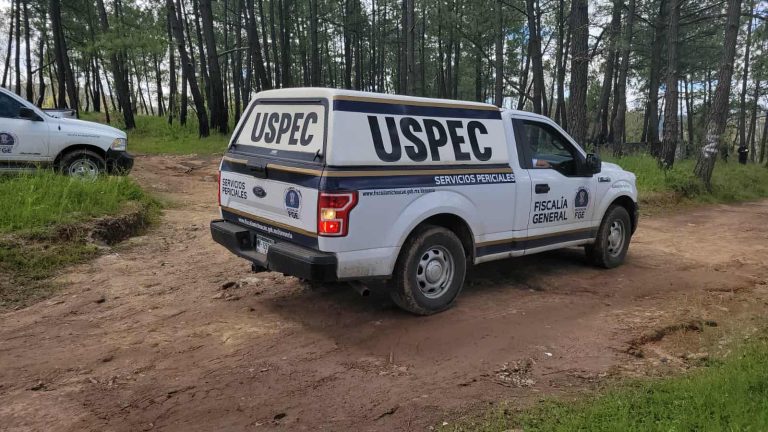 Hallan a hombre asesinado en zona boscosa del municipio de Madero