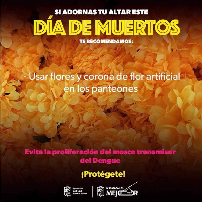 WhatsApp Image 2025-10-30 at 1.03.19 PM