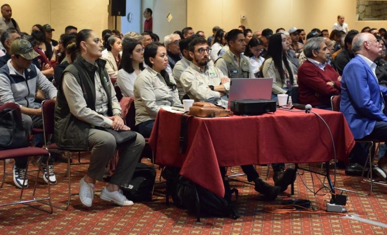Fortalecen acciones para el combate de plagas y enfermedades forestales