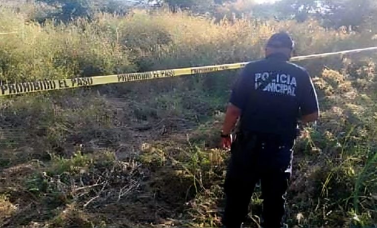 Octogenario es hallado muerto en unas parcelas de La Piedad