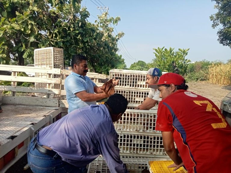 Región Tierra Caliente recibe apoyo del programa Agrosano