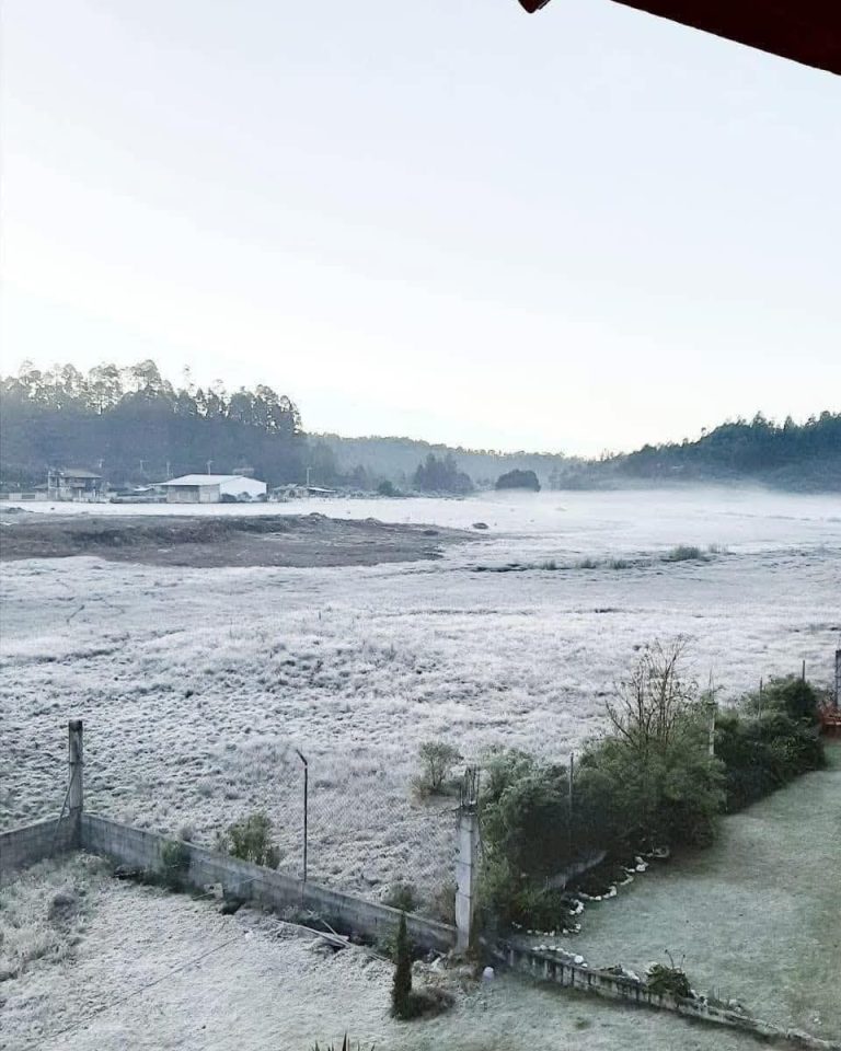 Se registran las primeras heladas en zonas serranas de Michoacán 