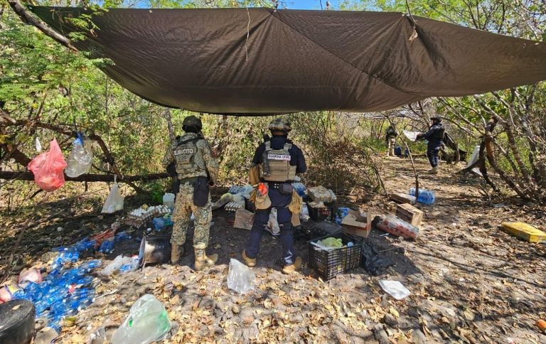 Desmantelados, cuatro campamentos clandestinos en Buenavista