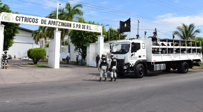 Refuerzan seguridad en empacadoras de limón, en Apatzingán