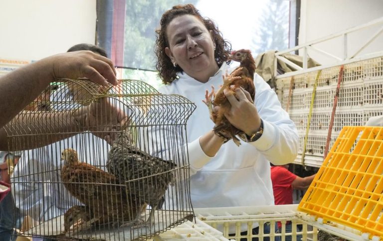 Entregadas, 150 mil aves e insumos para la soberanía alimentaria de 15 mil familias