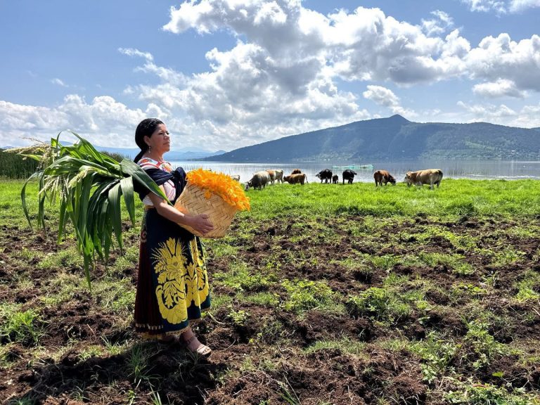 Sectur profesionalizó a casi 4 mil prestadores de servicios turísticos en 2025