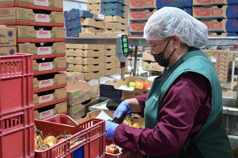 Michoacán superó la meta de 500 mil nuevos empleos formales en 2025: Sedeco