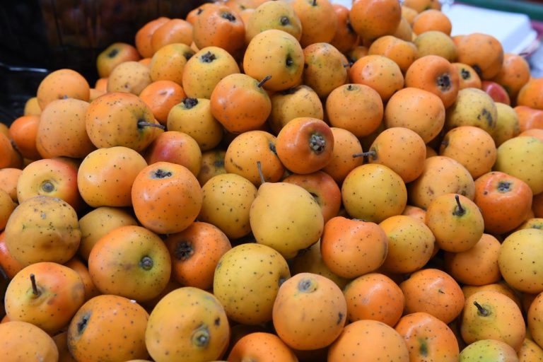 Canasta navideña en Michoacán desde los 583 pesos: Sedeco