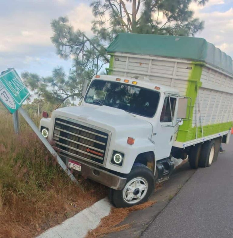 Se accidenta camión torton en la autopista Siglo XXI