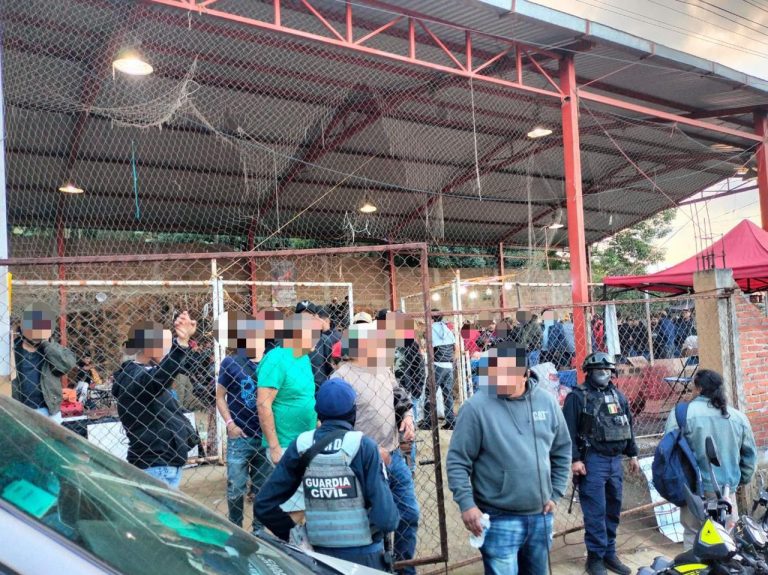 Guardia Civil desactiva palenque clandestino en Pátzcuaro