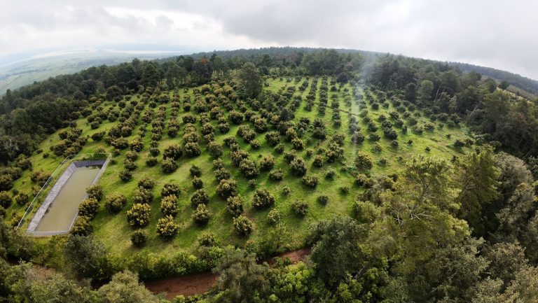 Michoacán eleva la protección ambiental a rango constitucional: Secma