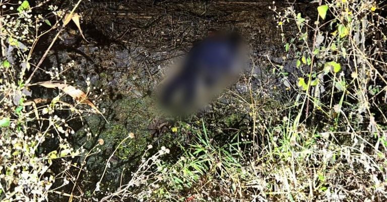 Localizan cadáver con huellas de violencia en el camino a “El Pochote”