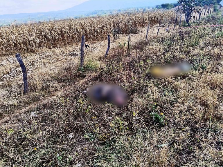 Abandonan un ejecutado en brecha al sur de Zamora