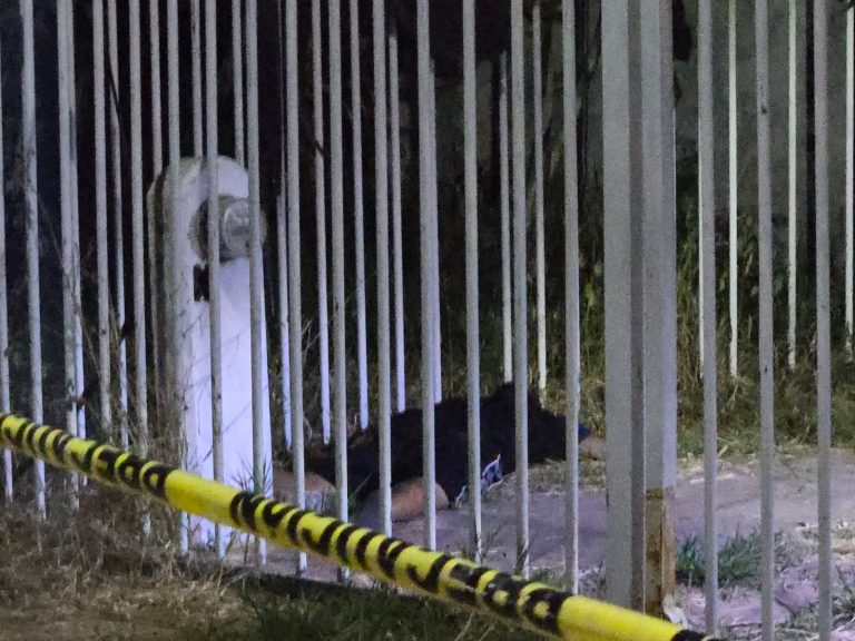 Empistolados persiguen y matan a un adolescente, en Villas Las Flores de Zamora 