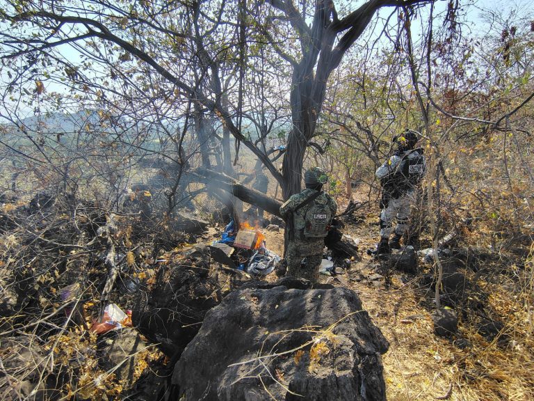 Desactivan 15 artefactos explosivos y destruyen campamento clandestino en Apatzingán