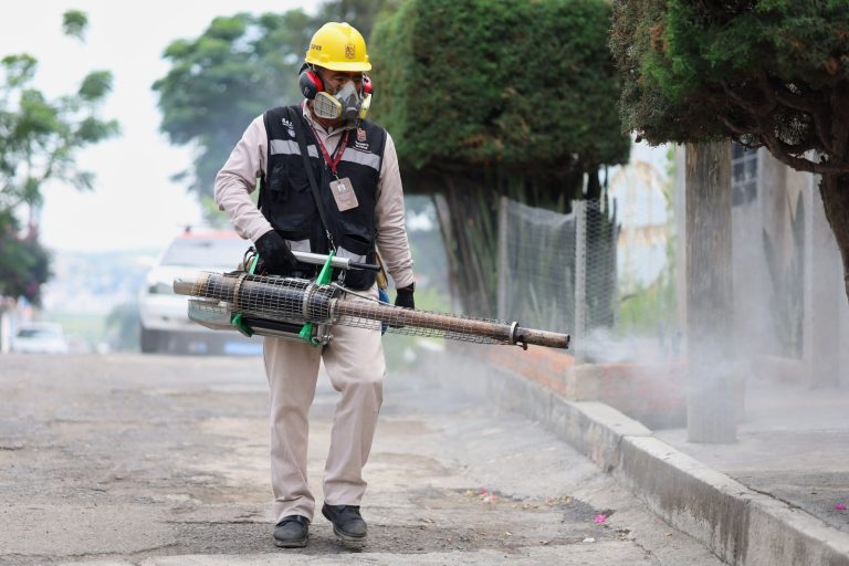 SSM llama a no bajar la guardia contra el dengue en invierno