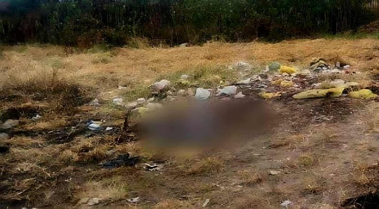 Localizan restos óseos en predio de Zamora