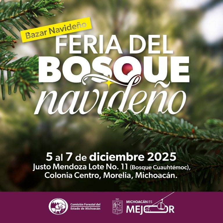 ¡Llega la Feria del Bosque Navideño 2025! Más de 100 productos locales te esperan