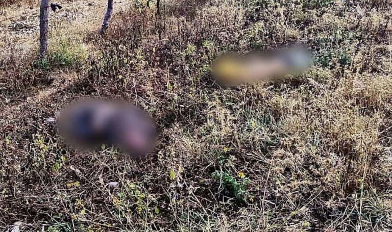 Ajustarán estrategia de seguridad en municipios con alza homicidios, dice fiscal