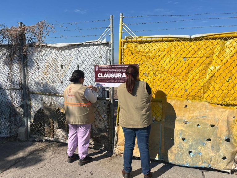 Cierra Proam el año con 220 operativos y multas por 2 mdp  para proteger el ambiente