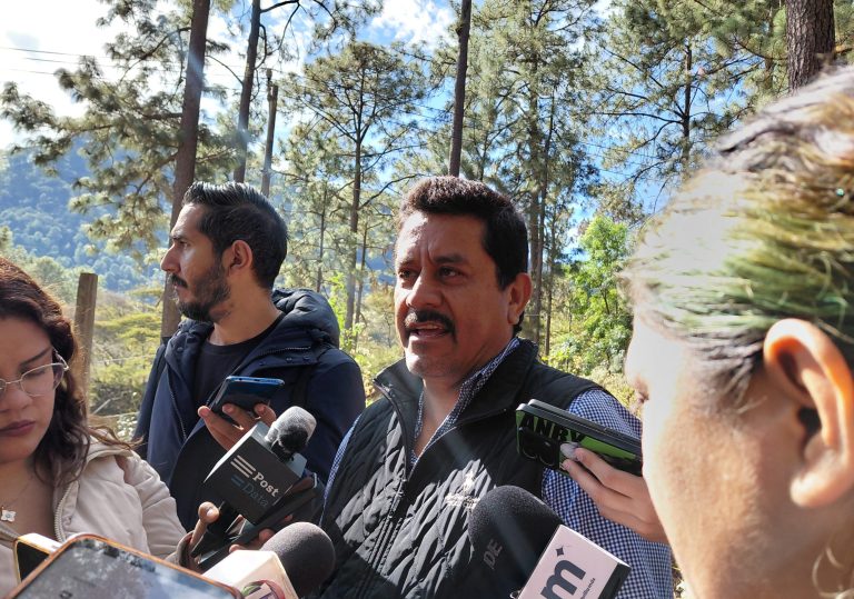 No hay casos de gusano barrenador en Morelia