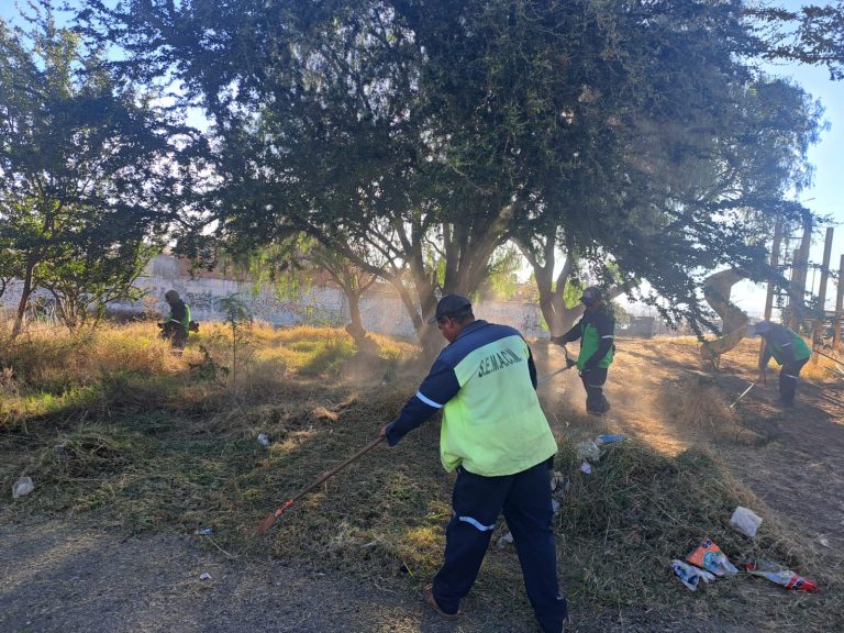 Gobierno de Morelia atiende área verde en Cumbres del Quinceo con jornada integral de mantenimiento