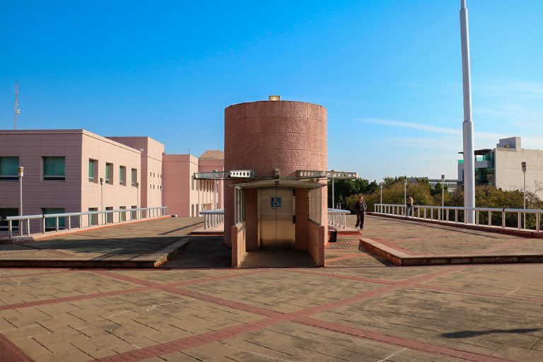 Aprueban reglamento que regula las acciones del Comité para la Protección de Grupos en Situación de Vulnerabilidad