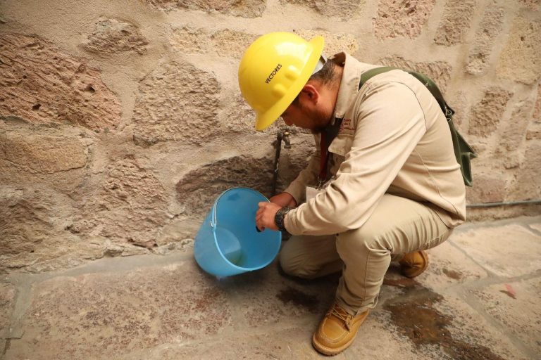 En 2025, Michoacán registró 81 % menos casos de dengue: SSM