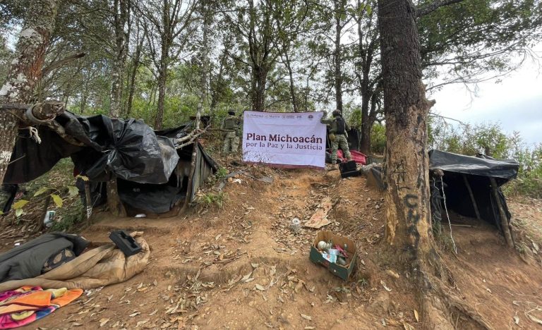 Operativos conjuntos en Michoacán dejan cuatro detenidos y el desmantelamiento de campamentos delictivos