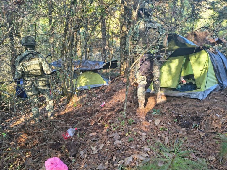 Inhabilitan 2 campamentos ilícitos y asegura 2 vehículos en Salvador Escalante