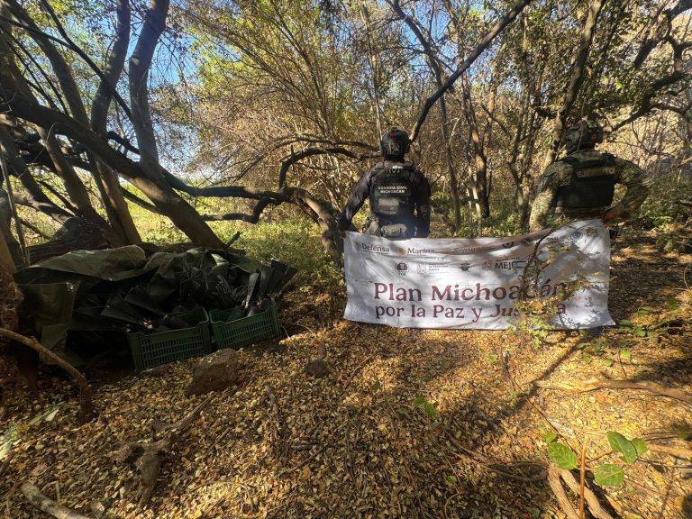 Desactivan 48 artefactos explosivos improvisados en Apatzingán