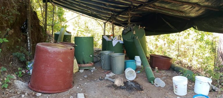 Localizan y destruye laboratorio clandestino en Madero