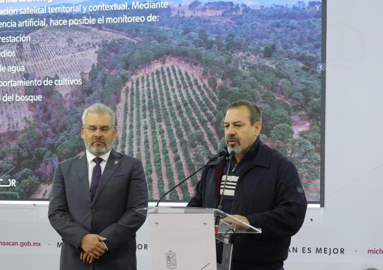 Se han bloqueado 2 mil huertas de aguacate para exportación, por deforestar e incumplir con certificación