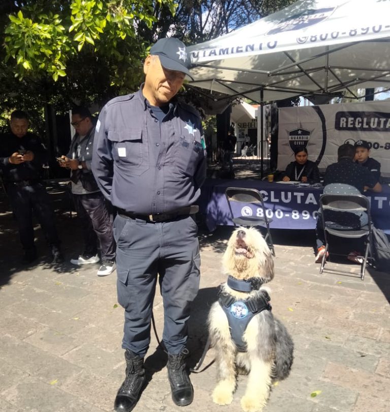  Misha, la agente más peluda de la SSP que conquista la proximidad social sin gruñir