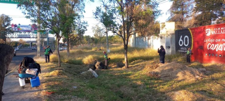 Ayuntamiento interviene y mejora los espacios públicos de la ciudad