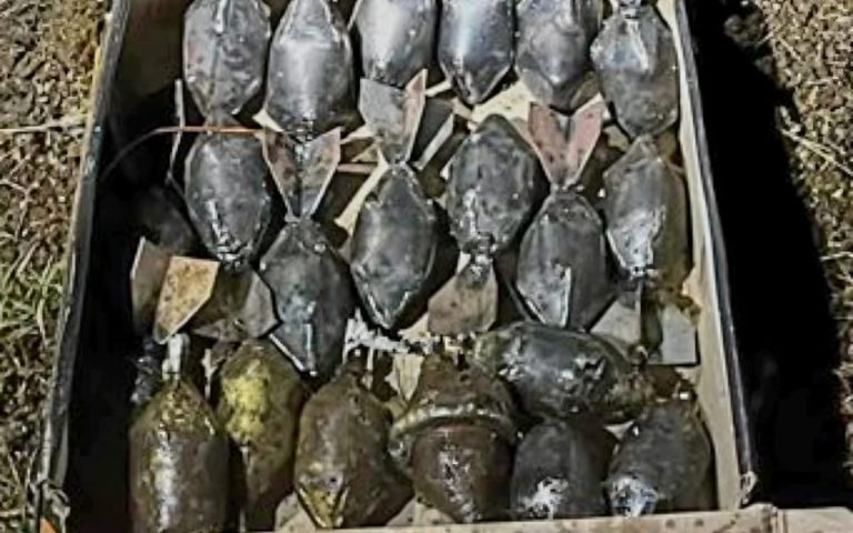 Localizan 19 artefactos explosivos improvisados en camino rural de Buenavista Tomatlán