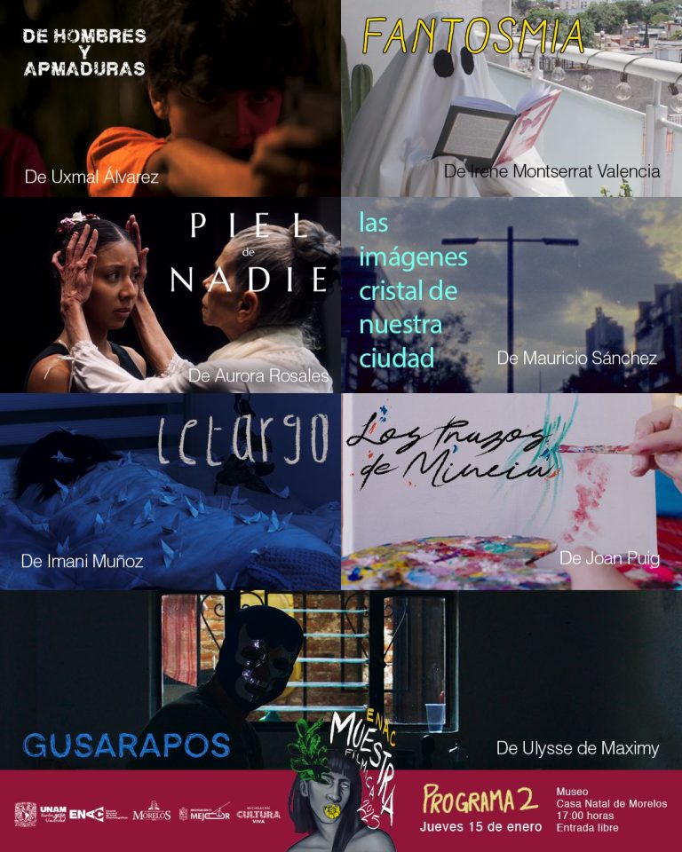 Llega a Michoacán muestra de cine con lo mejor del talento emergente de la UNAM: Secum