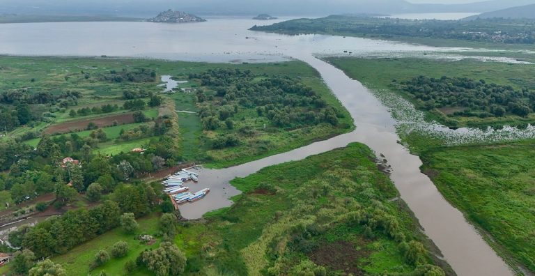 Se ha logrado recuperar 500 hectáreas de superficie del lago de Pátzcuaro