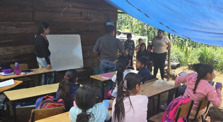 Más de mil alumnos de comunidades indígenas afectados por falta de 50 maestros, en escuelas de palitos