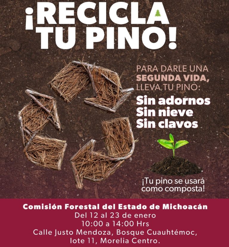 Invita a la ciudadanía a sumarse a la campaña de reciclaje de árboles de Navidad