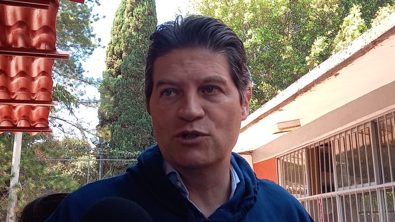 Reforma electoral, de partidos, no de gobierno: Alfonso