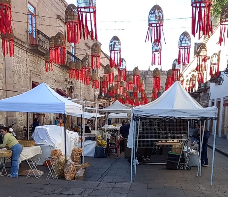 Más de 300 oferentes instalados en templos este miércoles de Ceniza 